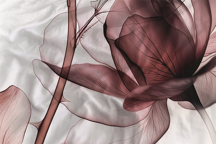 Heckettlane dekbedovertrek Harriet Heckettlane dekbedovertrek Harriet